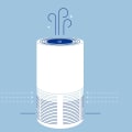 The Truth About Air Purifiers and Your Lung Health