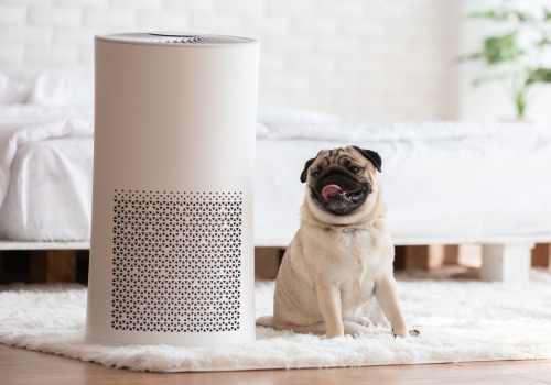 Does an air purifier make a noticeable difference?