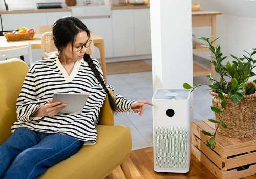 The Ultimate Guide to Air Purifiers: How to Improve Your Indoor Air Quality